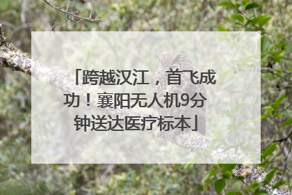 跨越汉江，首飞成功！襄阳无人机9分钟送达医疗标本